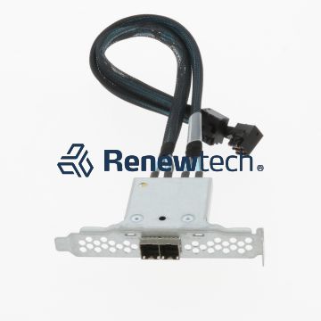 SAS Ports: Dual IOA Backplane